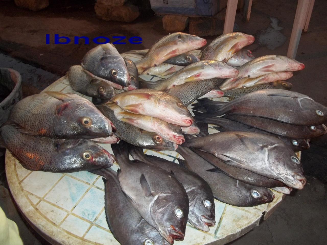 Des poissons à Soumbédioune