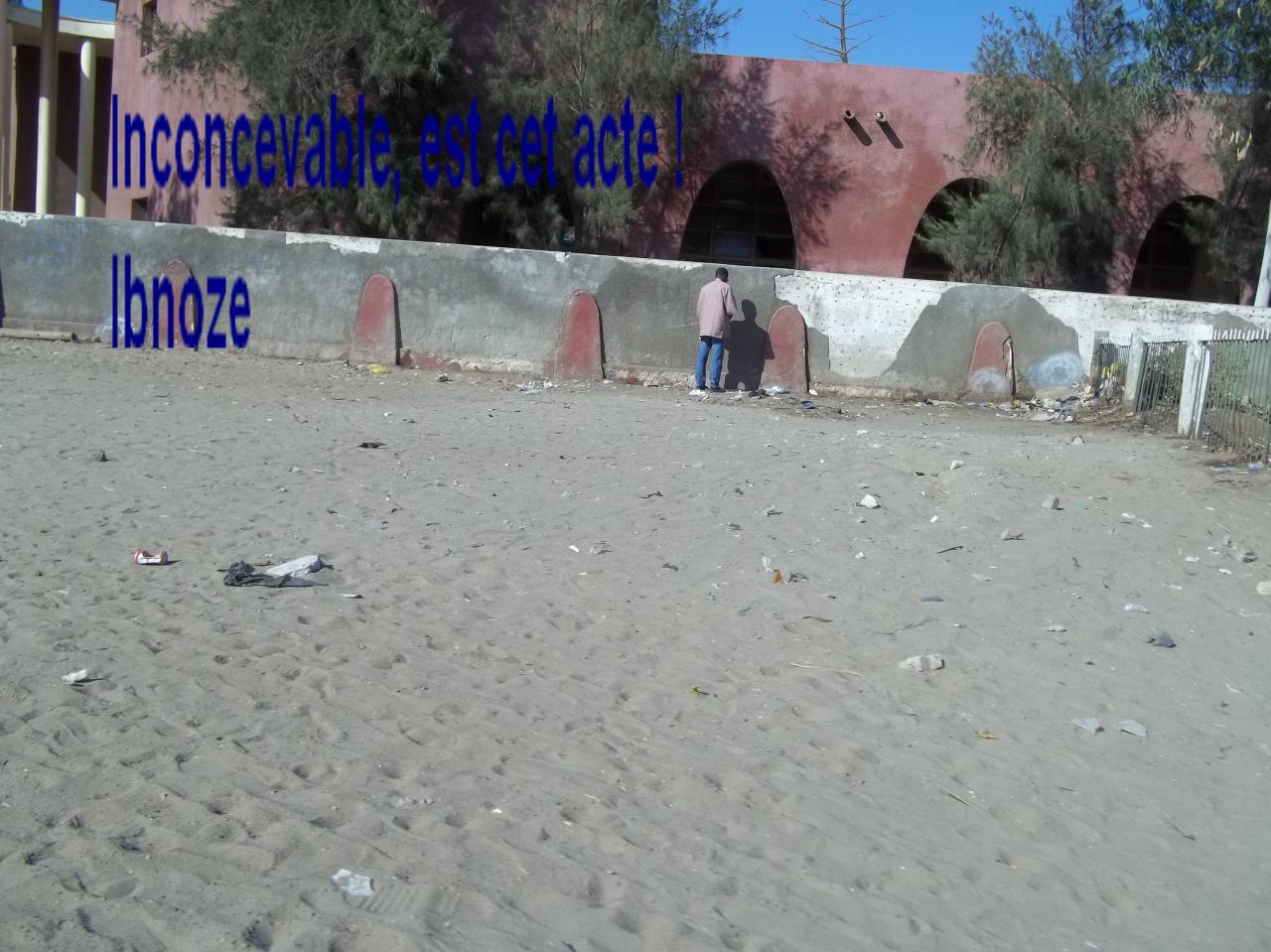 sur ibnoze le 19 MARS 2013 021