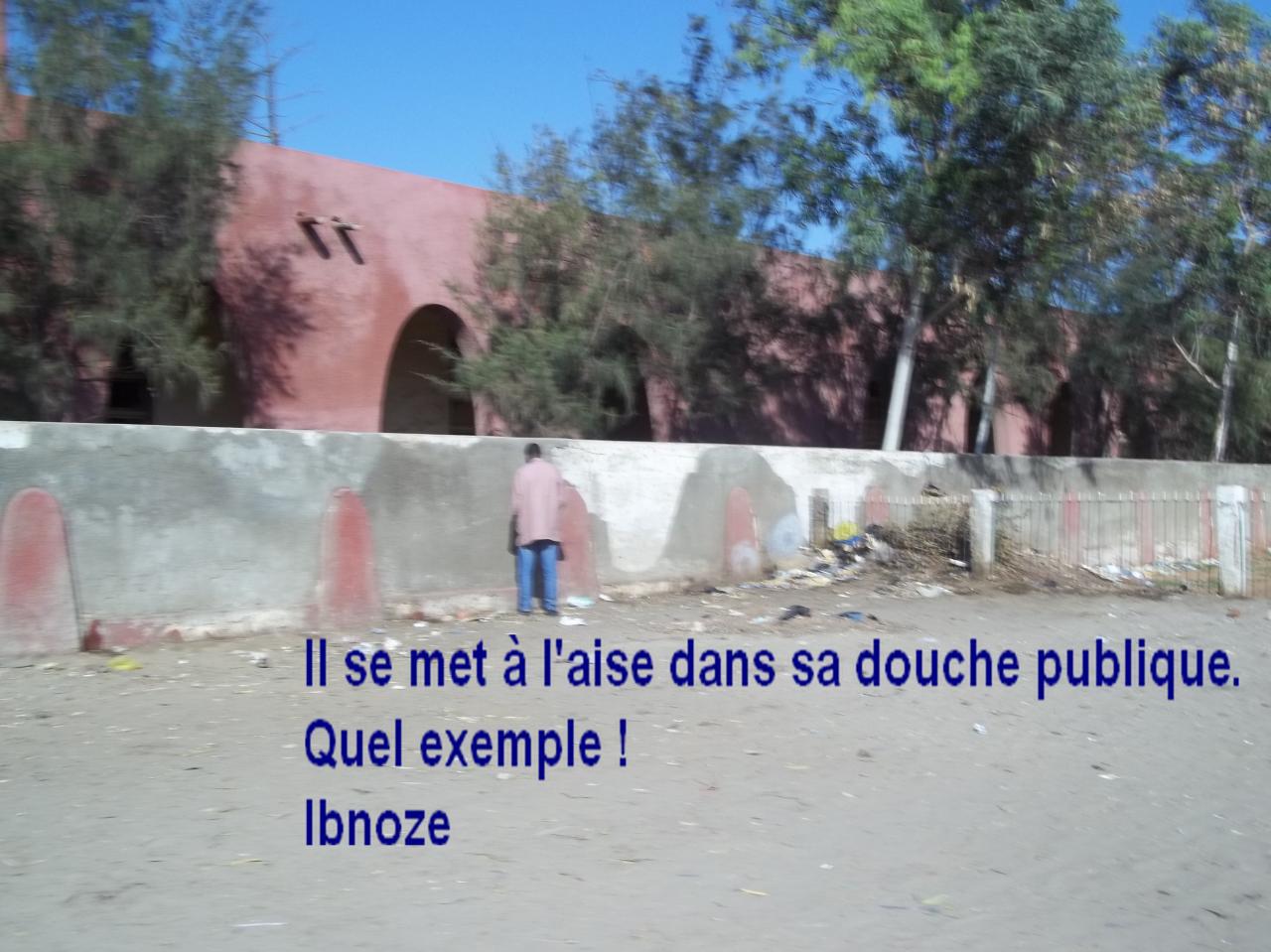 sur ibnoze le 19 MARS 2013 022