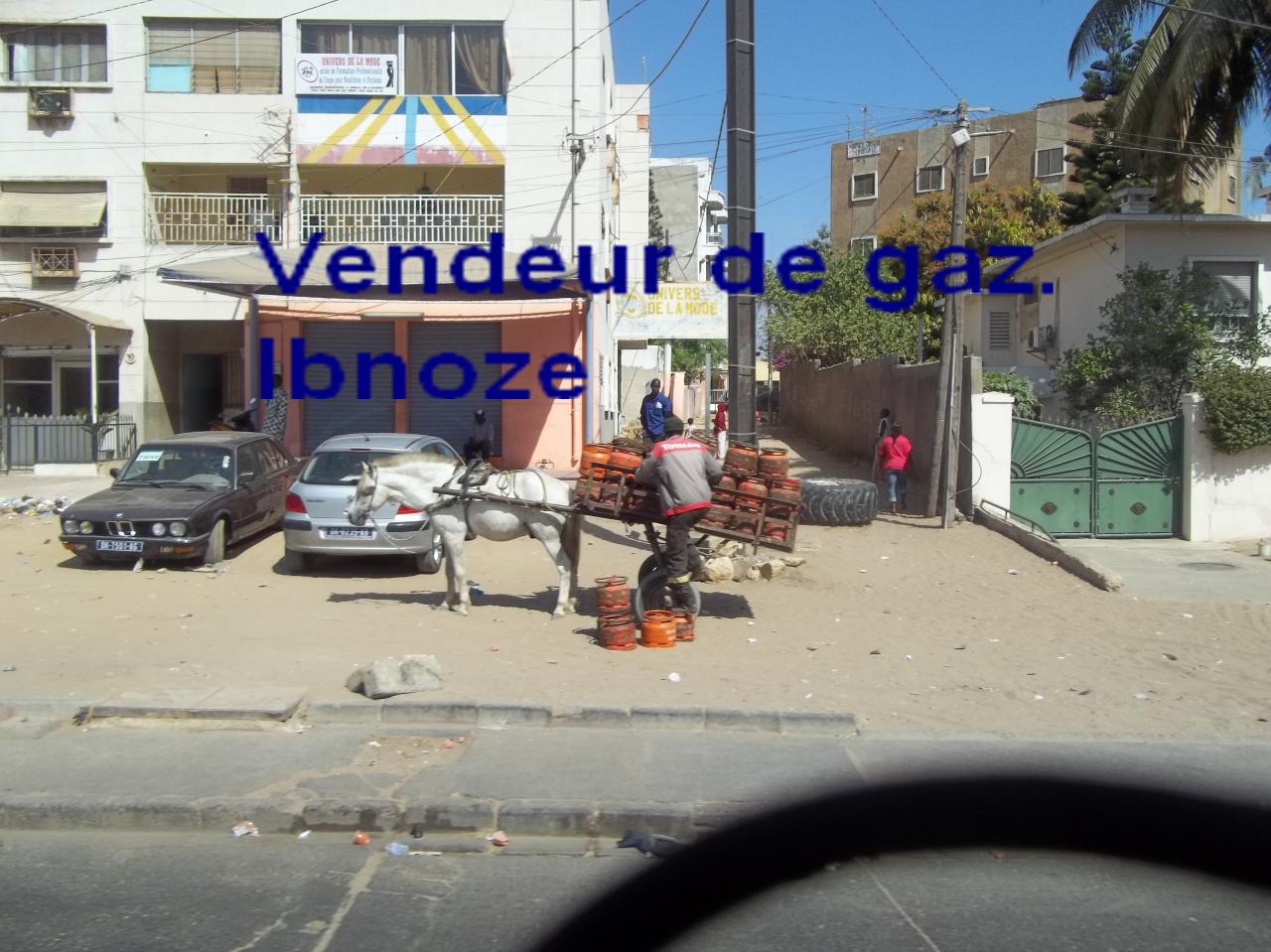 Sur Ibnoze le 2 AVRIL 2013 001