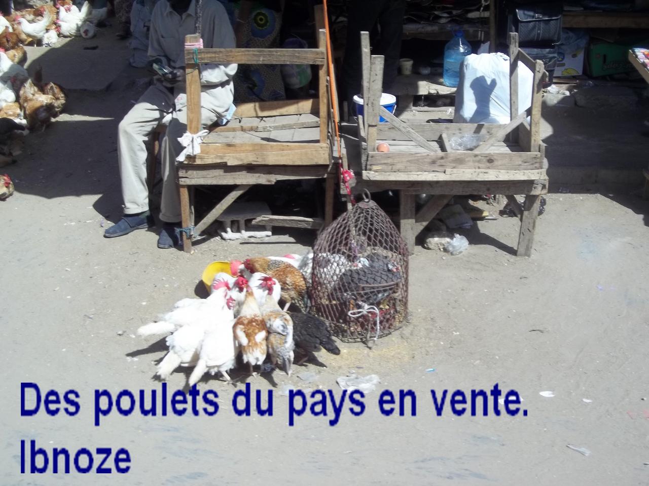 Sur Ibnoze le 2 AVRIL 2013 003