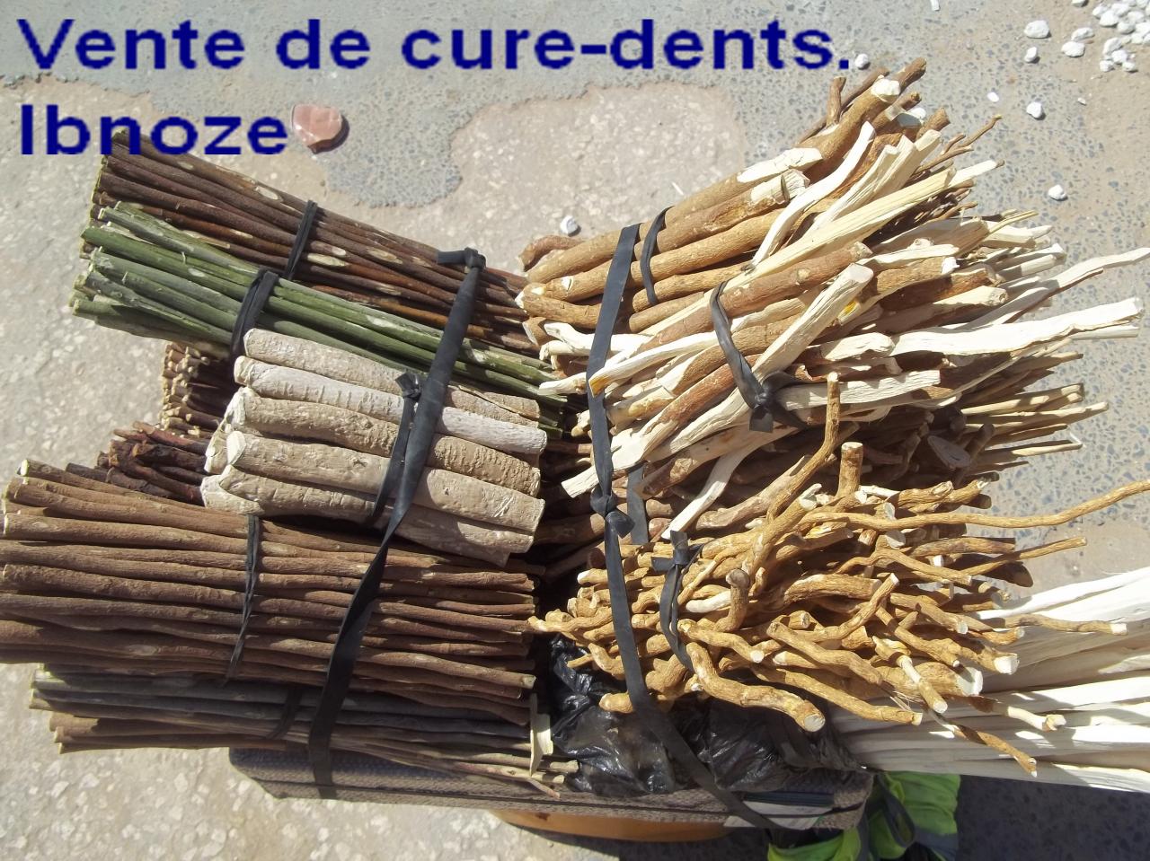 Sur Ibnoze le 2 AVRIL 2013 006