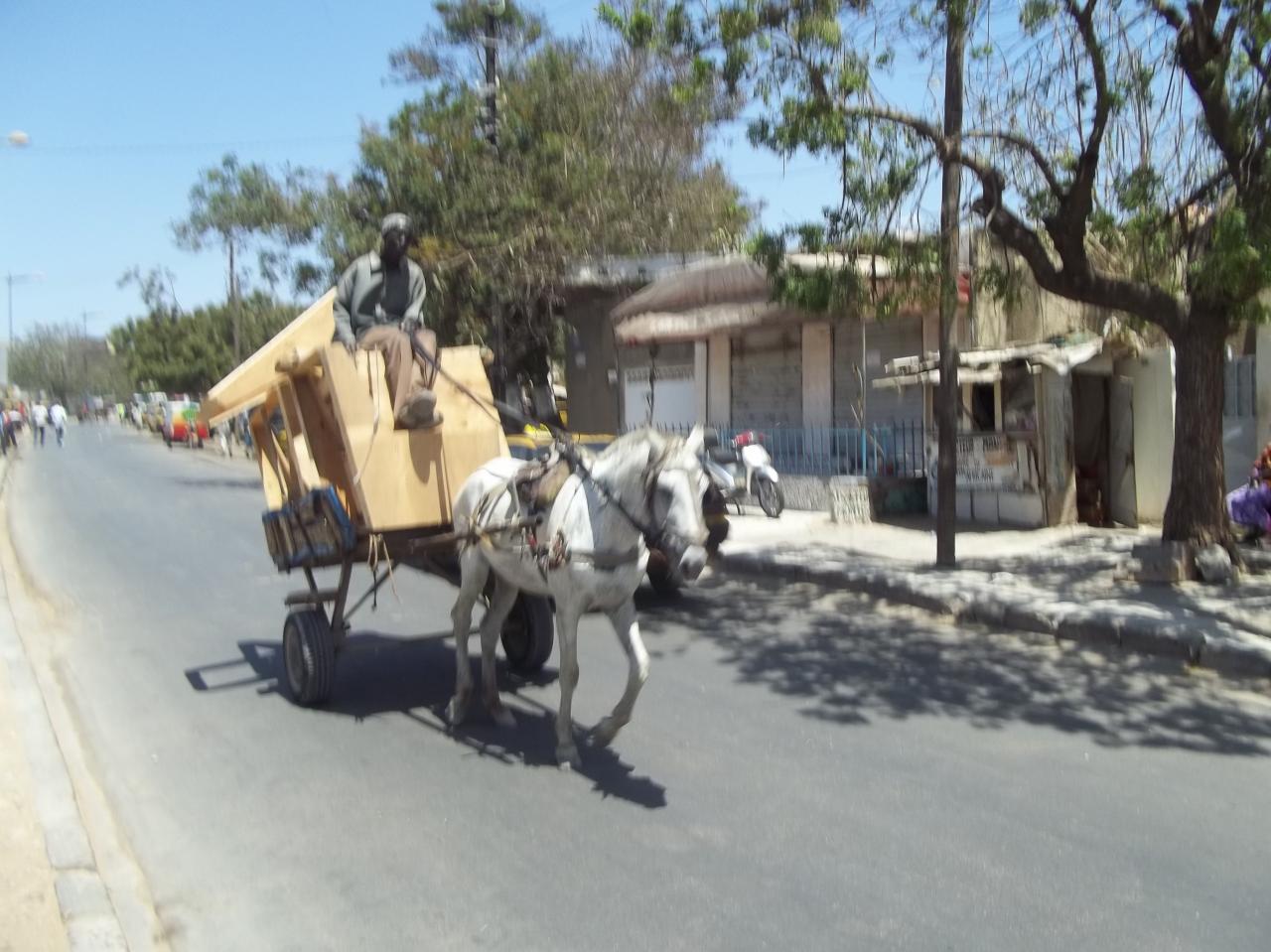 Sur Ibnoze le 3 AVRIL 2013 058