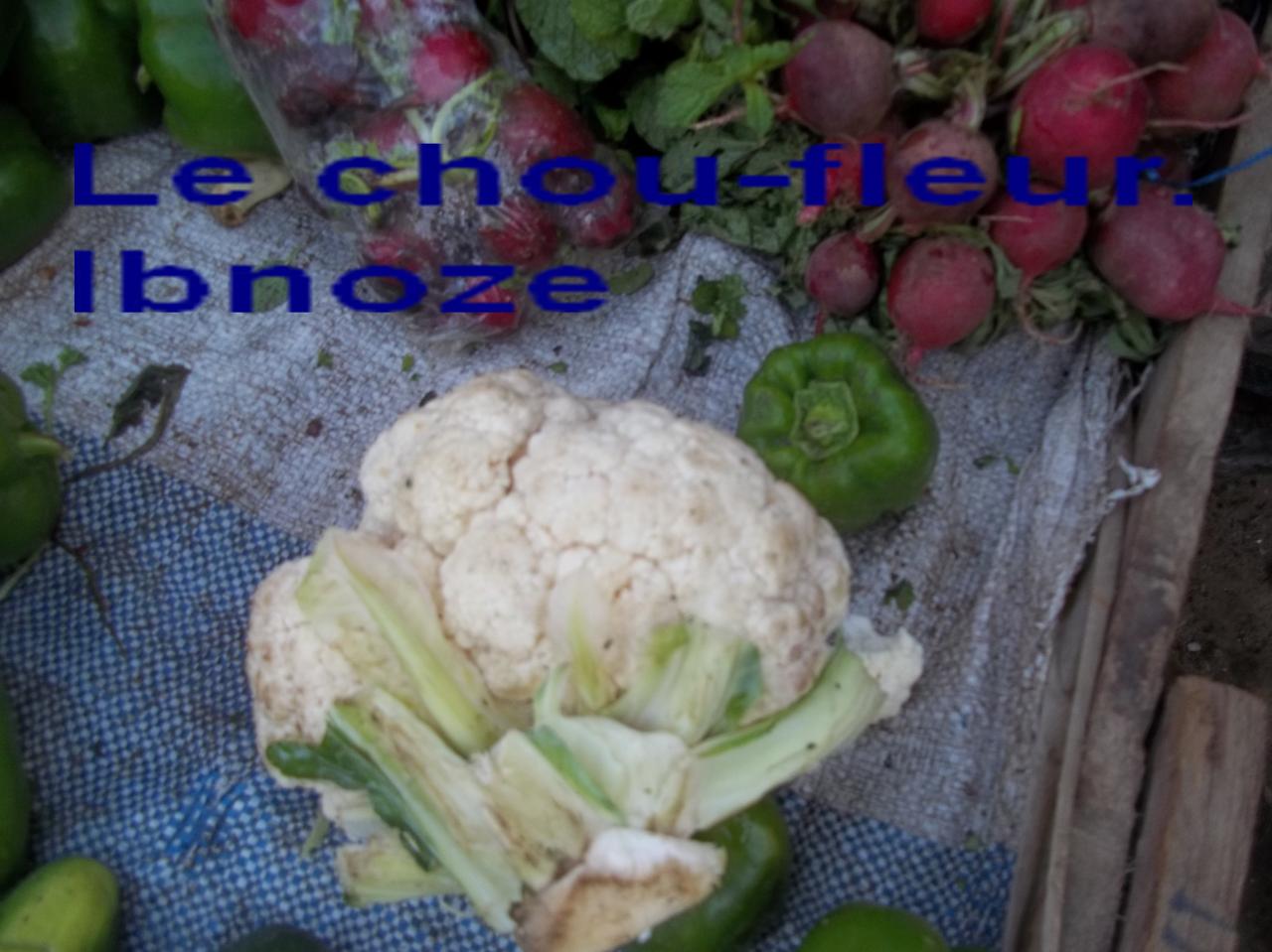 Sur Ibnoze le 3 AVRIL 2013 plus 022