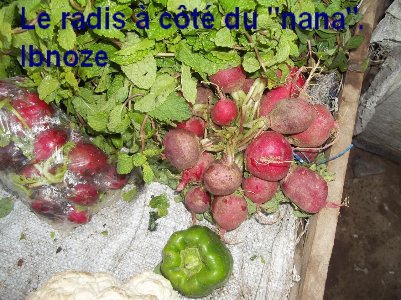 Sur Ibnoze le 3 AVRIL 2013 plus 023