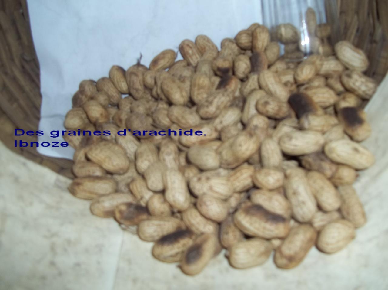 sur ibnoze le 30 MARS 2013 bonus bis 015