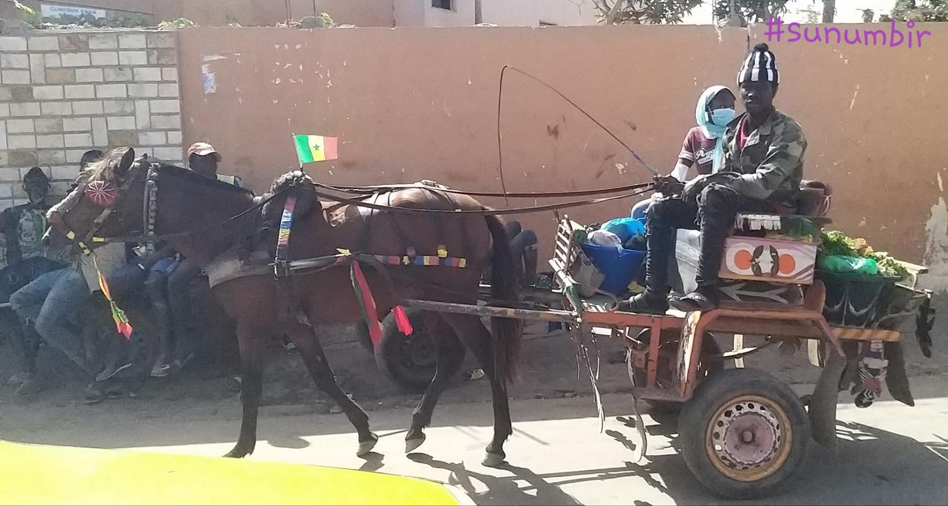 273418890 4754041714643031 2335872666088747204 n