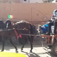 273418890 4754041714643031 2335872666088747204 n