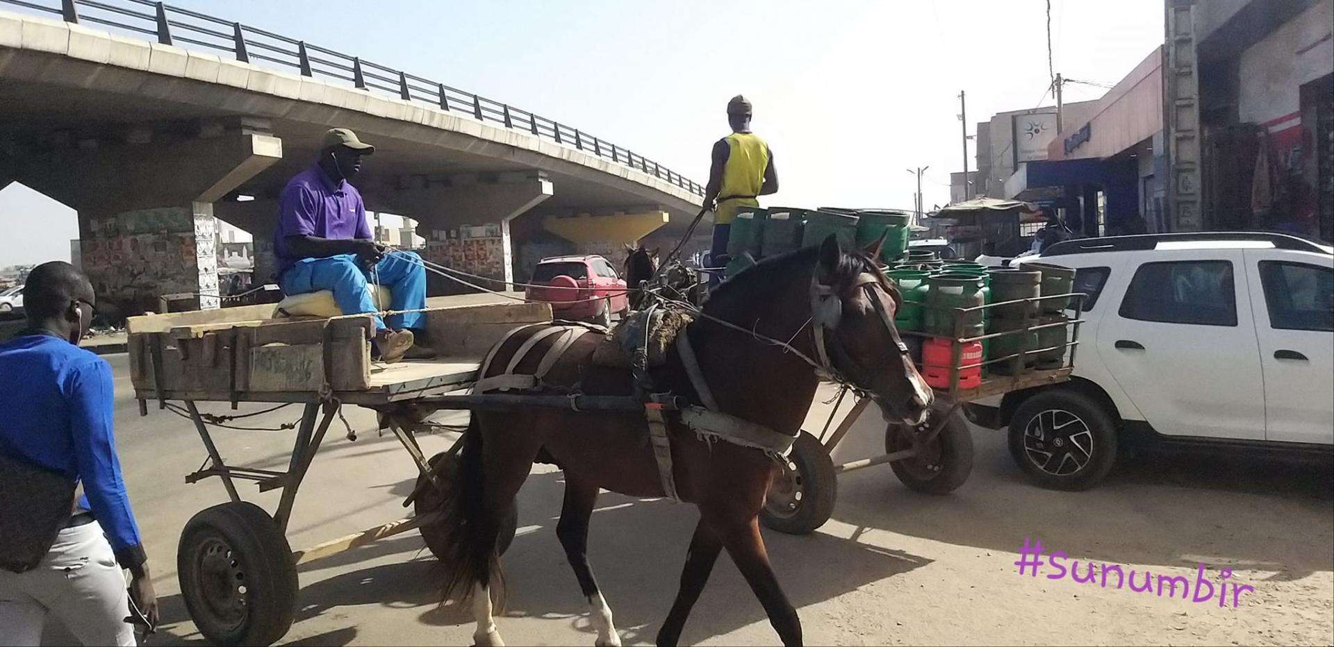 273618430 4758738730839996 2637494799931515172 n