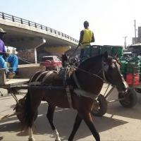 273618430 4758738730839996 2637494799931515172 n