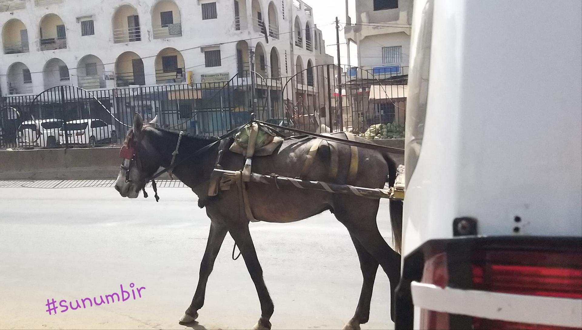 273618872 4757177074329495 4689671709906815482 n