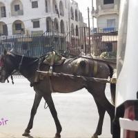 273618872 4757177074329495 4689671709906815482 n