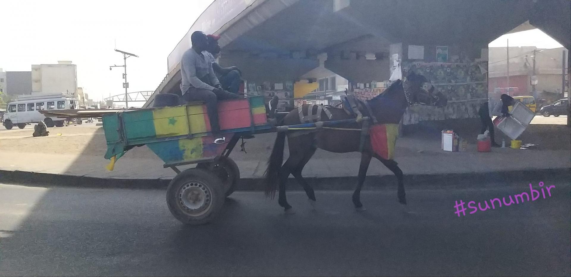 273689853 4760133547367181 8460037554746038690 n