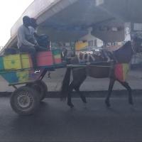 273689853 4760133547367181 8460037554746038690 n