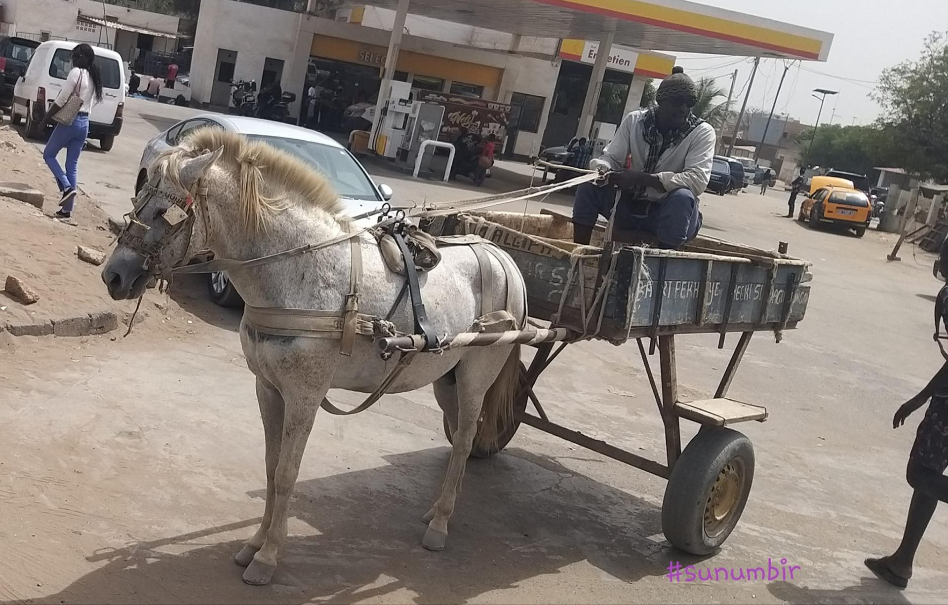 273695984 4761679100545959 3667221834897341451 n