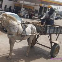 273695984 4761679100545959 3667221834897341451 n