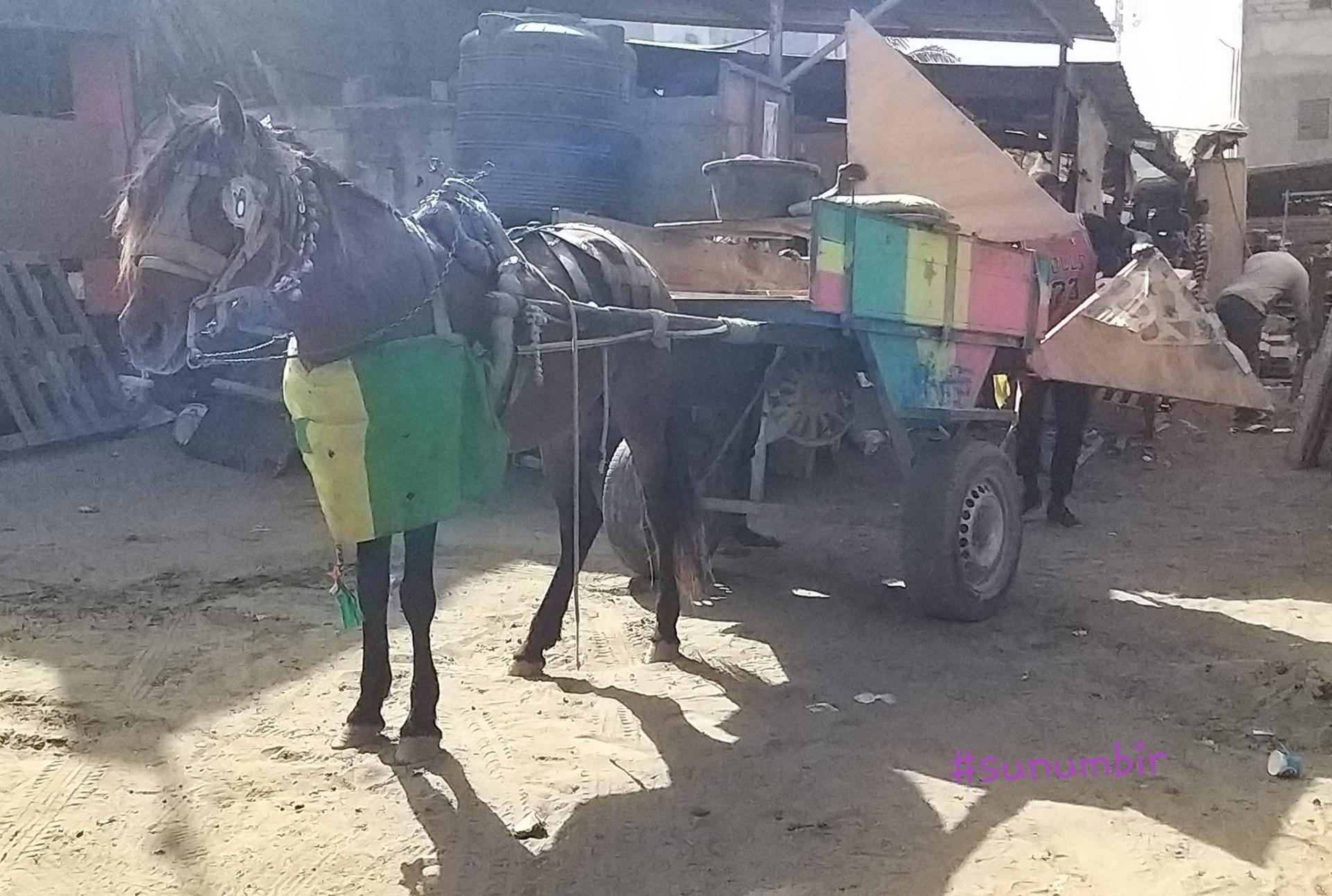 273735373 4760133840700485 3478848848069265171 n