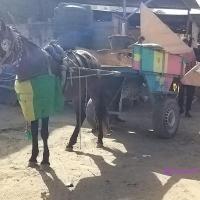 273735373 4760133840700485 3478848848069265171 n