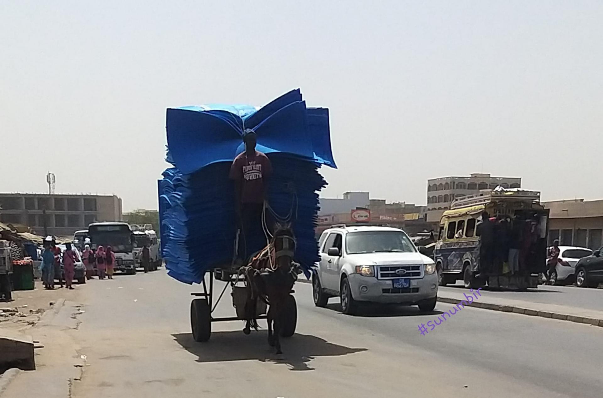 273770067 4765115200202349 8603788361539088589 n