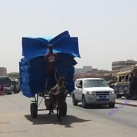 273770067 4765115200202349 8603788361539088589 n