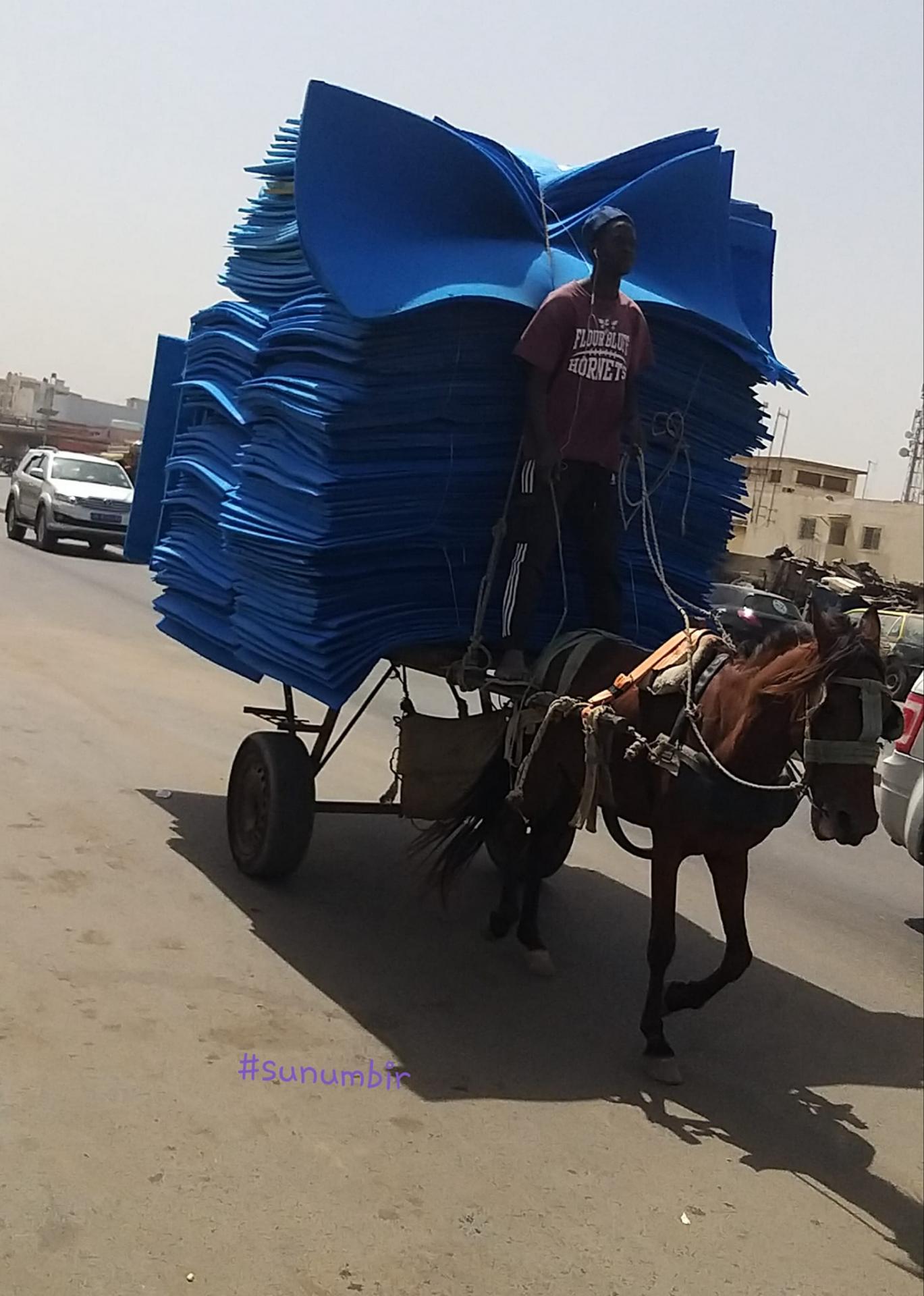 273780997 4765114850202384 192444448667682927 n