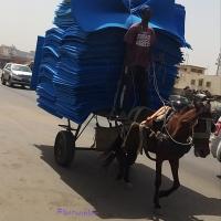 273780997 4765114850202384 192444448667682927 n