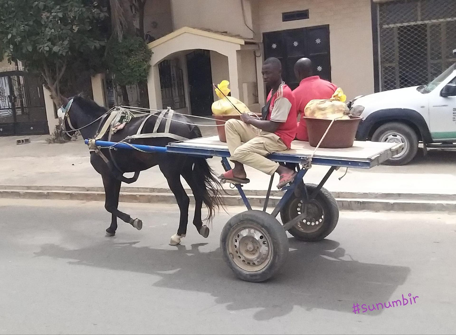 273858315 4763273333719869 4764439280770737098 n