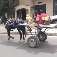 273858315 4763273333719869 4764439280770737098 n