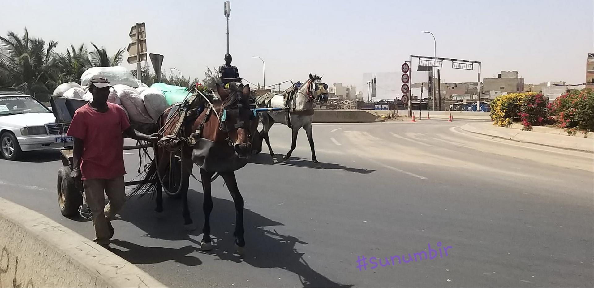 273874530 4768316639882205 5578868622023430383 n