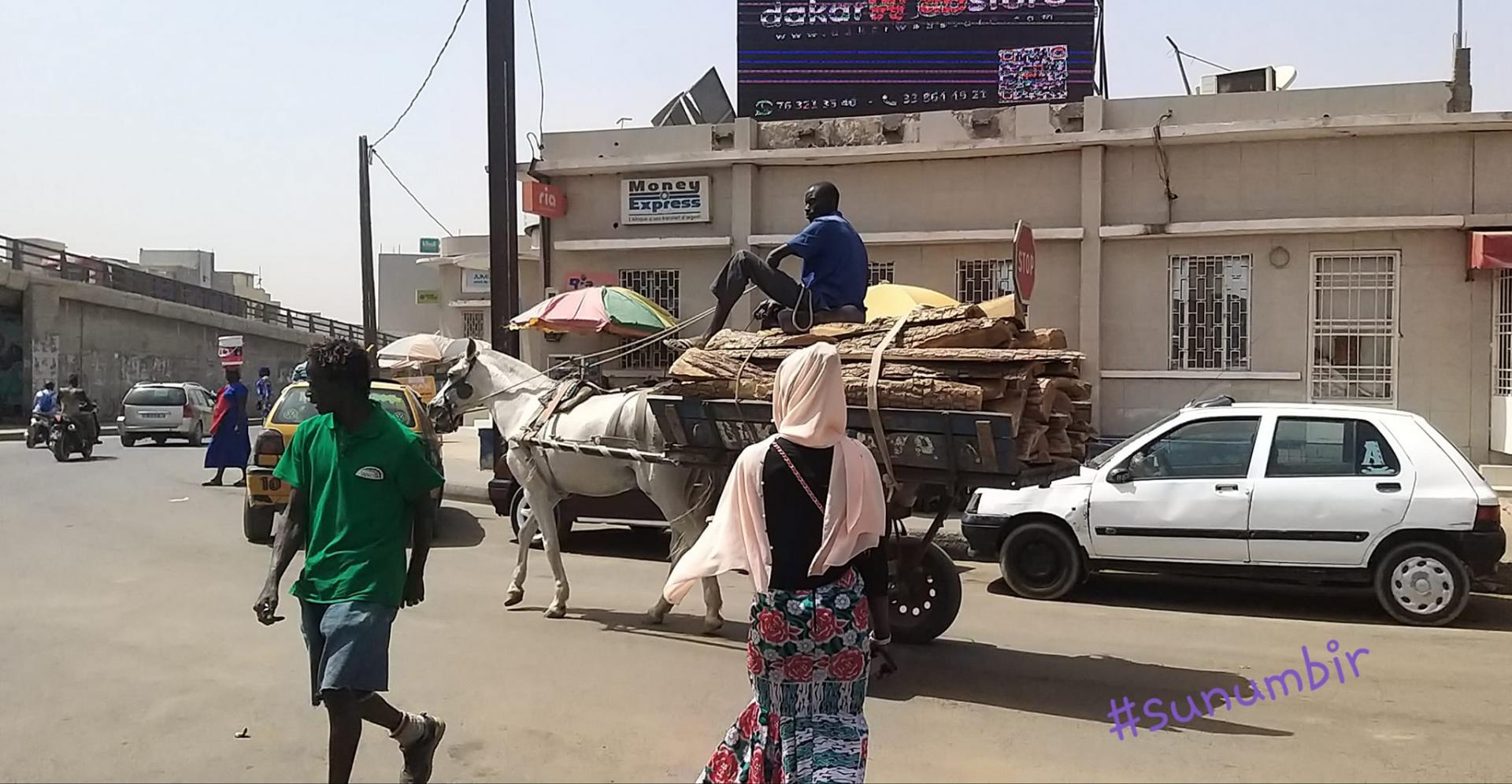 273890529 4769754096405126 2096524881323878031 n