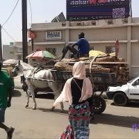 273890529 4769754096405126 2096524881323878031 n