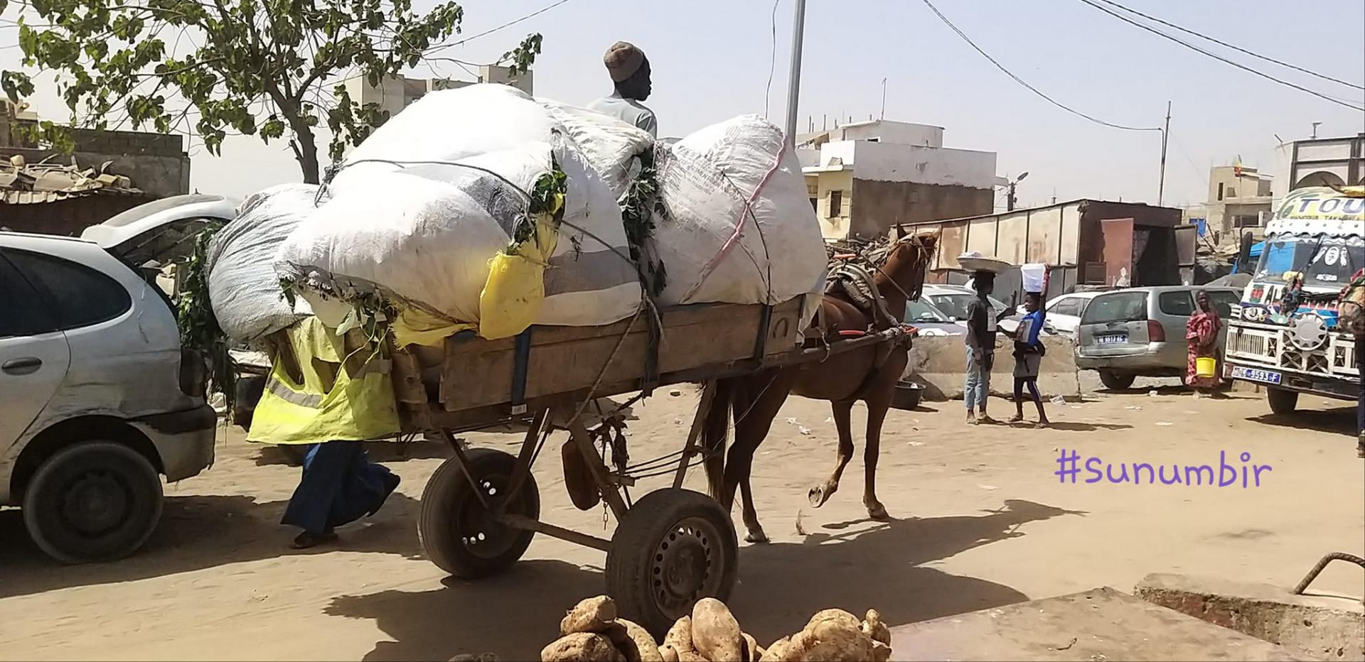 273905633 4766493440064525 8790908768203267302 n