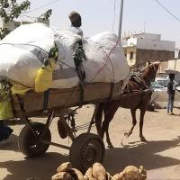 273905633 4766493440064525 8790908768203267302 n