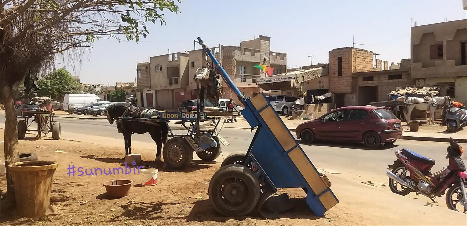 273927277 4772592779454591 9095227498987151044 n