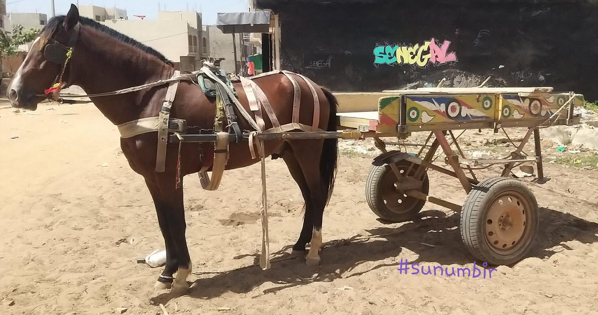 273932146 4771252226255313 1488169673974078916 n