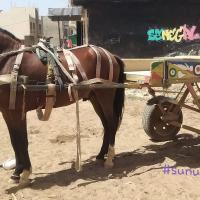 273932146 4771252226255313 1488169673974078916 n