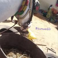 274007490 4775713325809203 7211489940390705106 n 1 