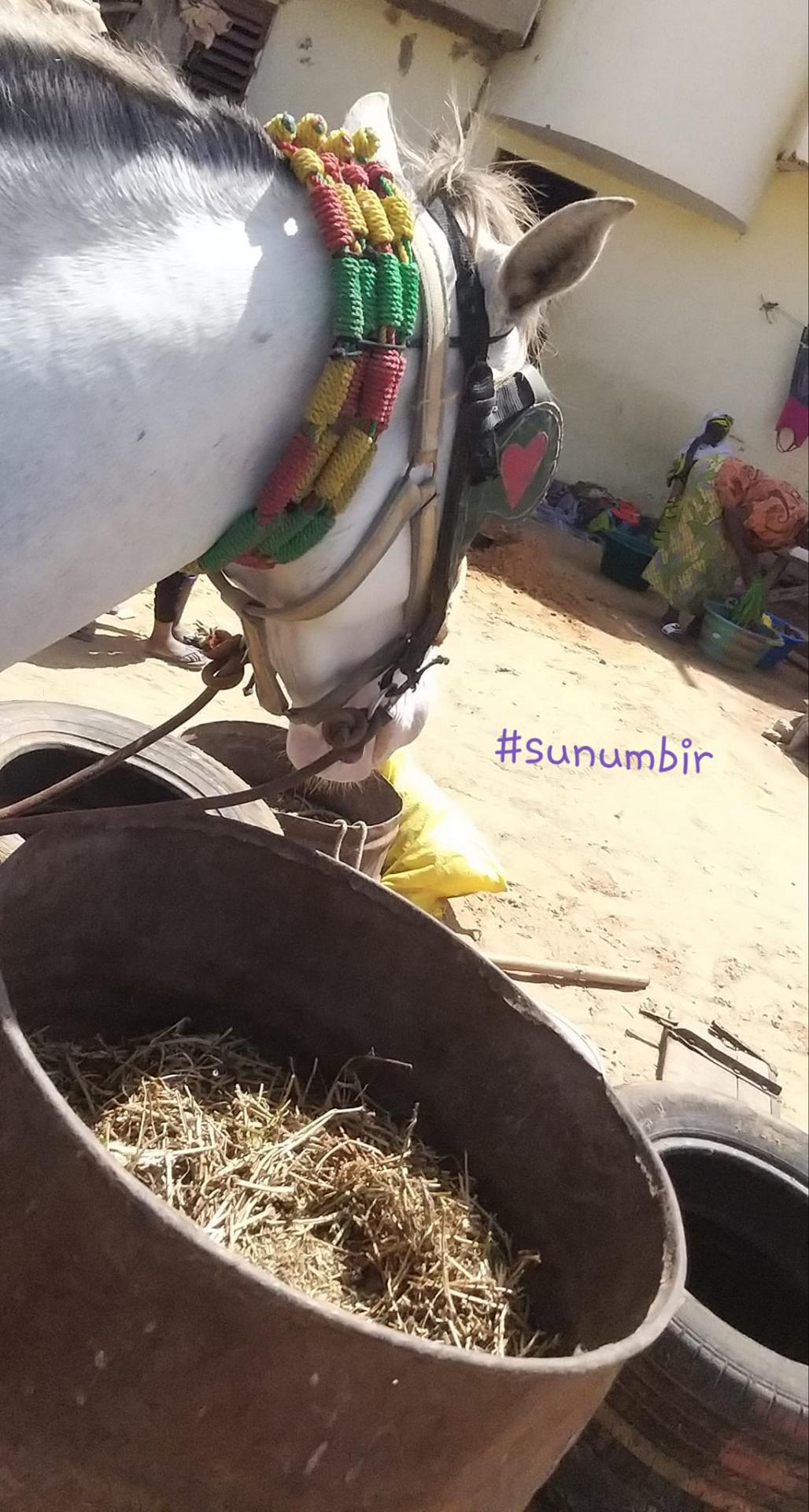 274007490 4775713325809203 7211489940390705106 n 1