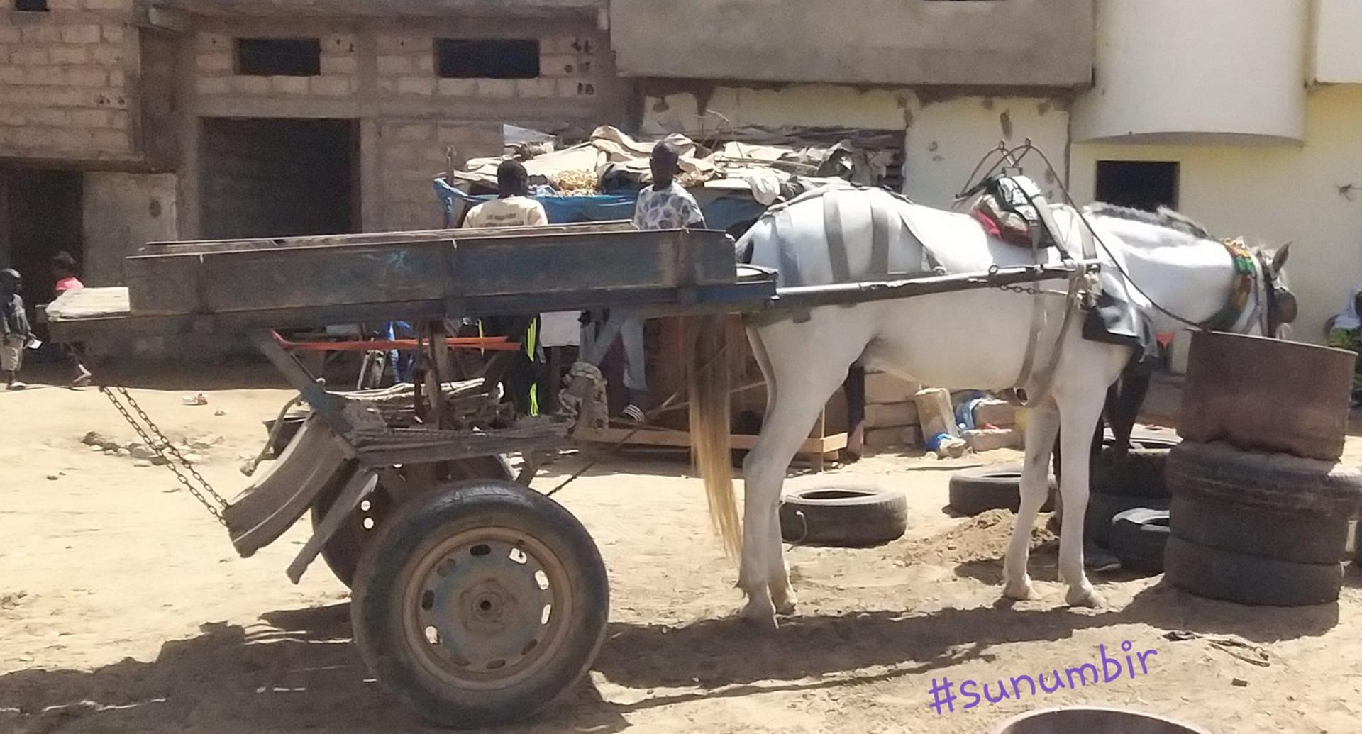 274059054 4775713015809234 1739189288850901751 n