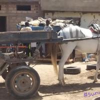 274059054 4775713015809234 1739189288850901751 n