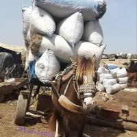 274070685 4778940508819818 3002163647306090900 n 1