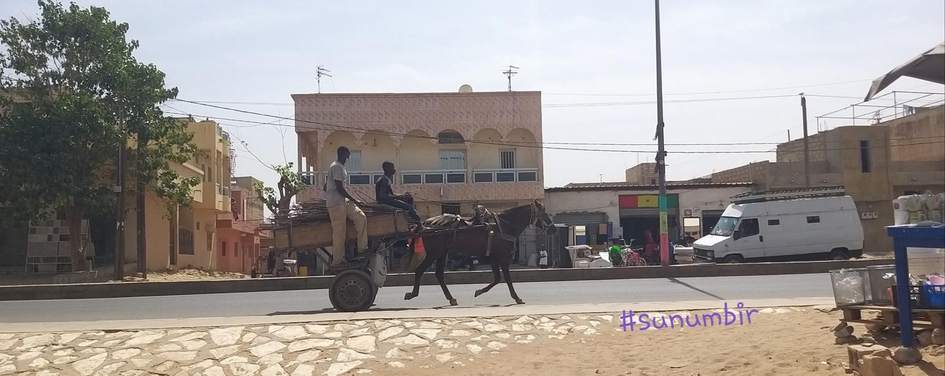 274075298 4777446088969260 2032373812480368821 n