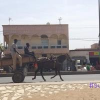 274075298 4777446088969260 2032373812480368821 n