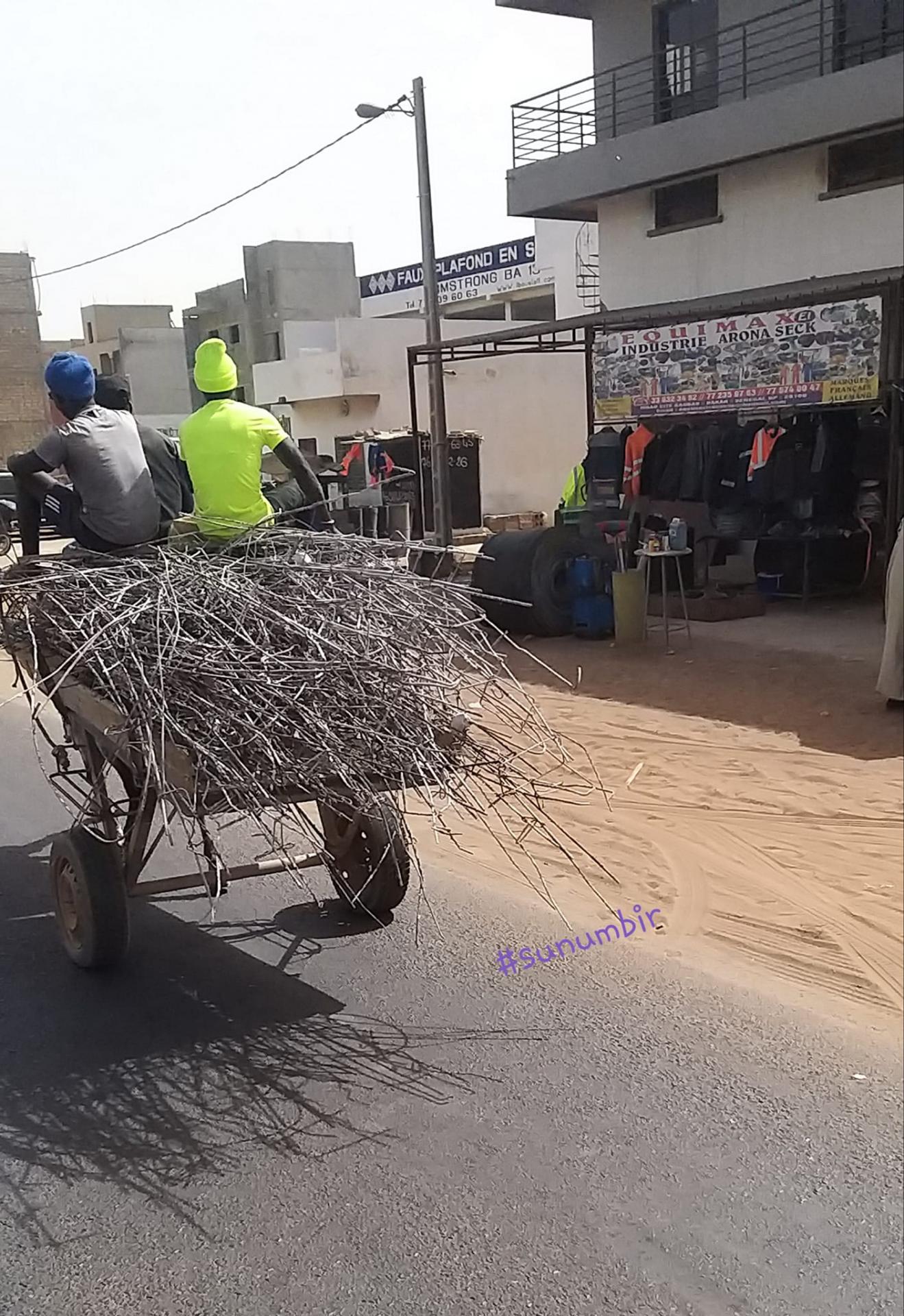 274121550 4783815791665623 8072777585392570196 n