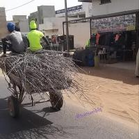 274121550 4783815791665623 8072777585392570196 n