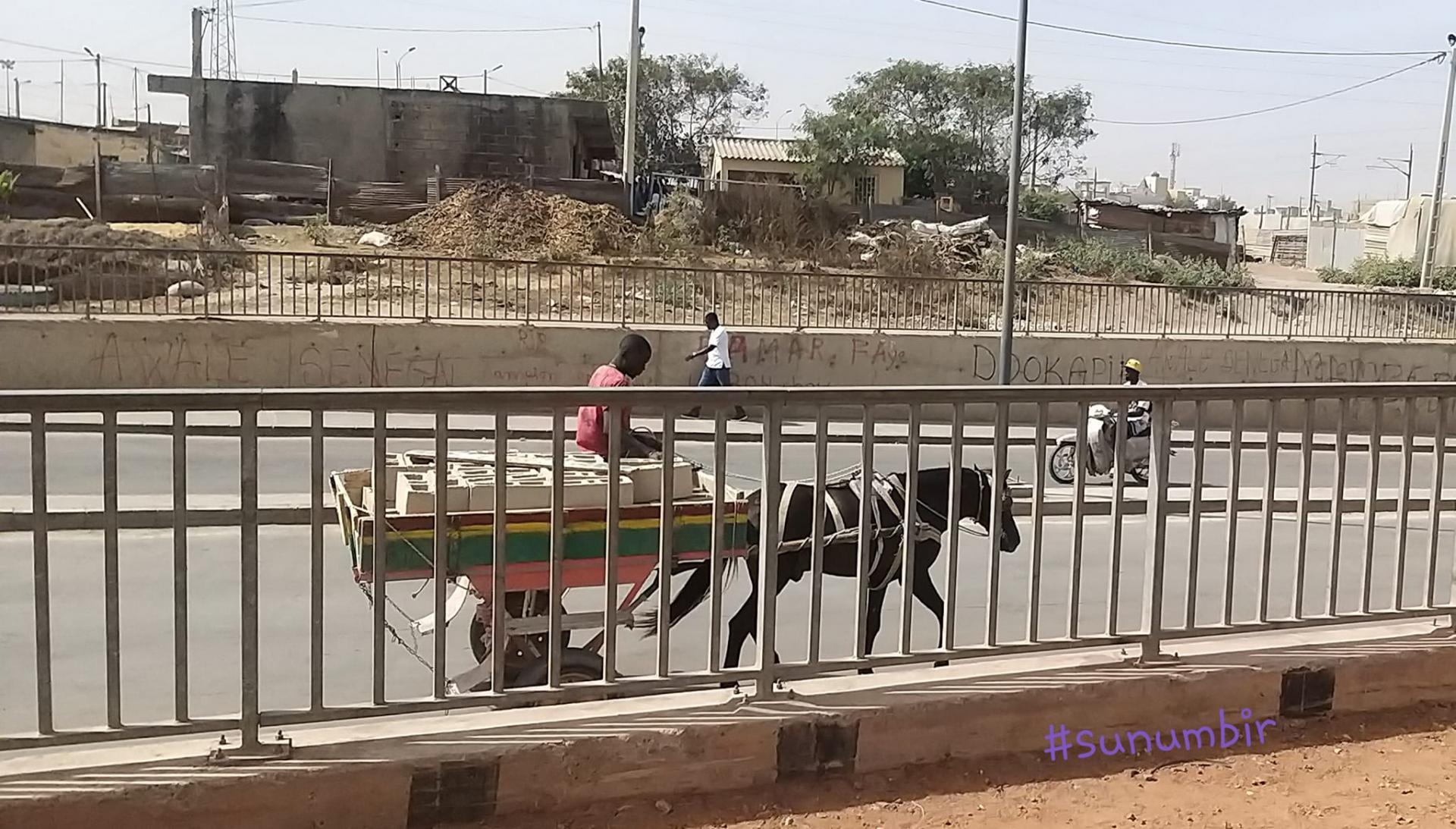 274129285 4781112651935937 3697835453562417766 n 1