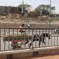 274129285 4781112651935937 3697835453562417766 n