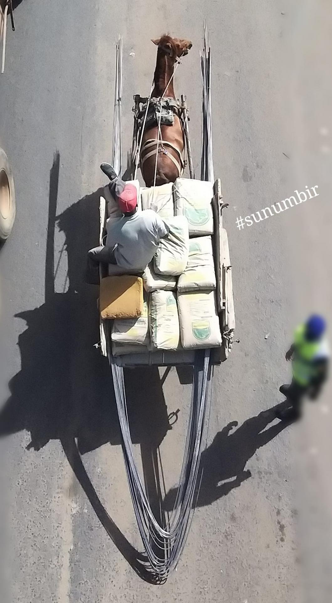 274142737 4774240532623149 4570097238336080314 n