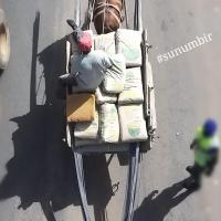 274142737 4774240532623149 4570097238336080314 n