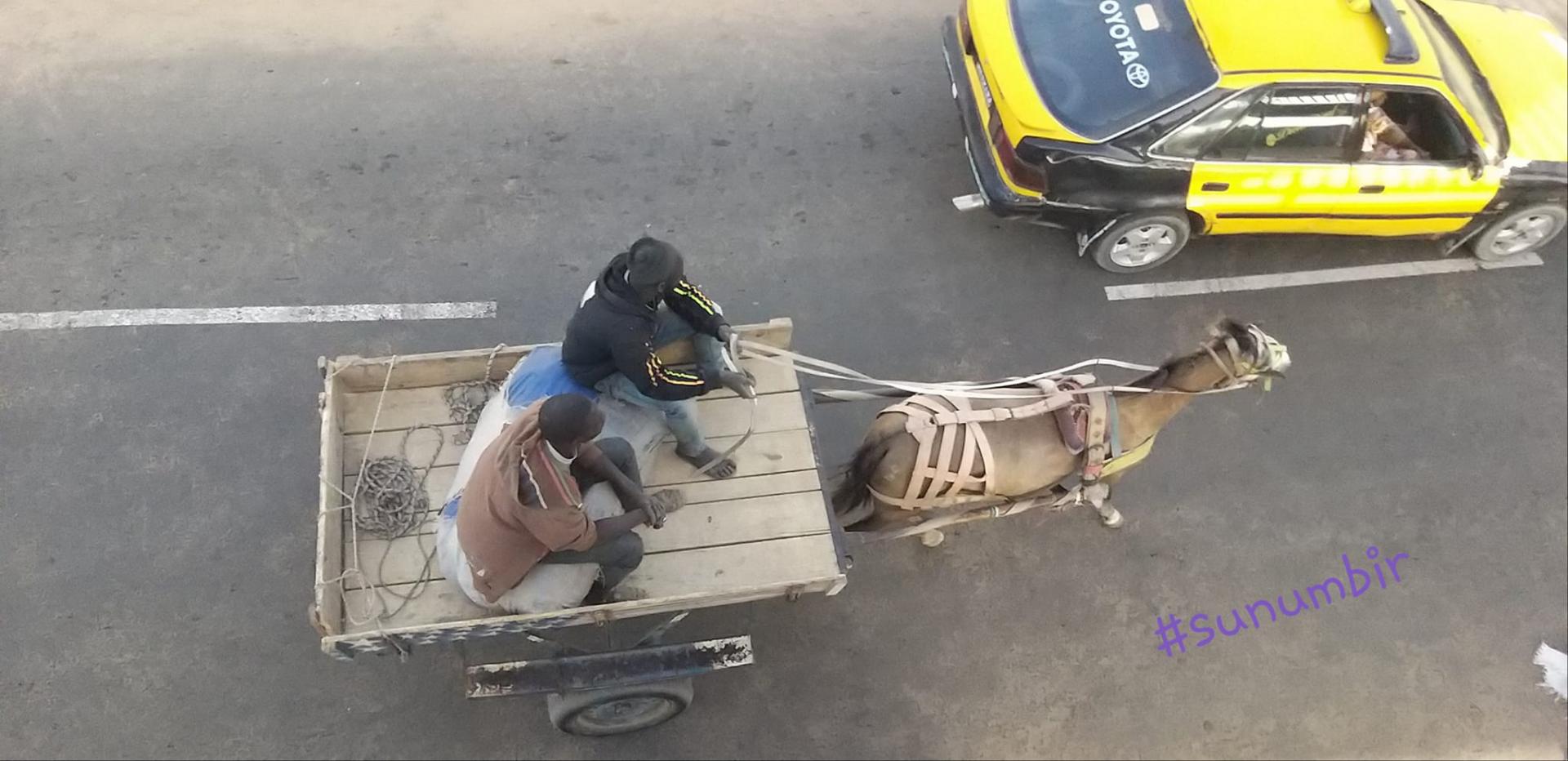 274158234 4785716278142241 6096028162617282798 n